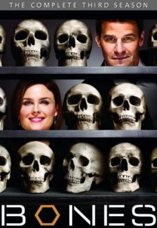 Bones - 3� Temporada (2007)
