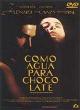 Como Agua Para Chocolate (1992)